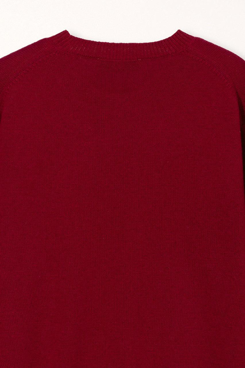Dunst-Unisex cashmere crewneck sweater red-dgallerystore