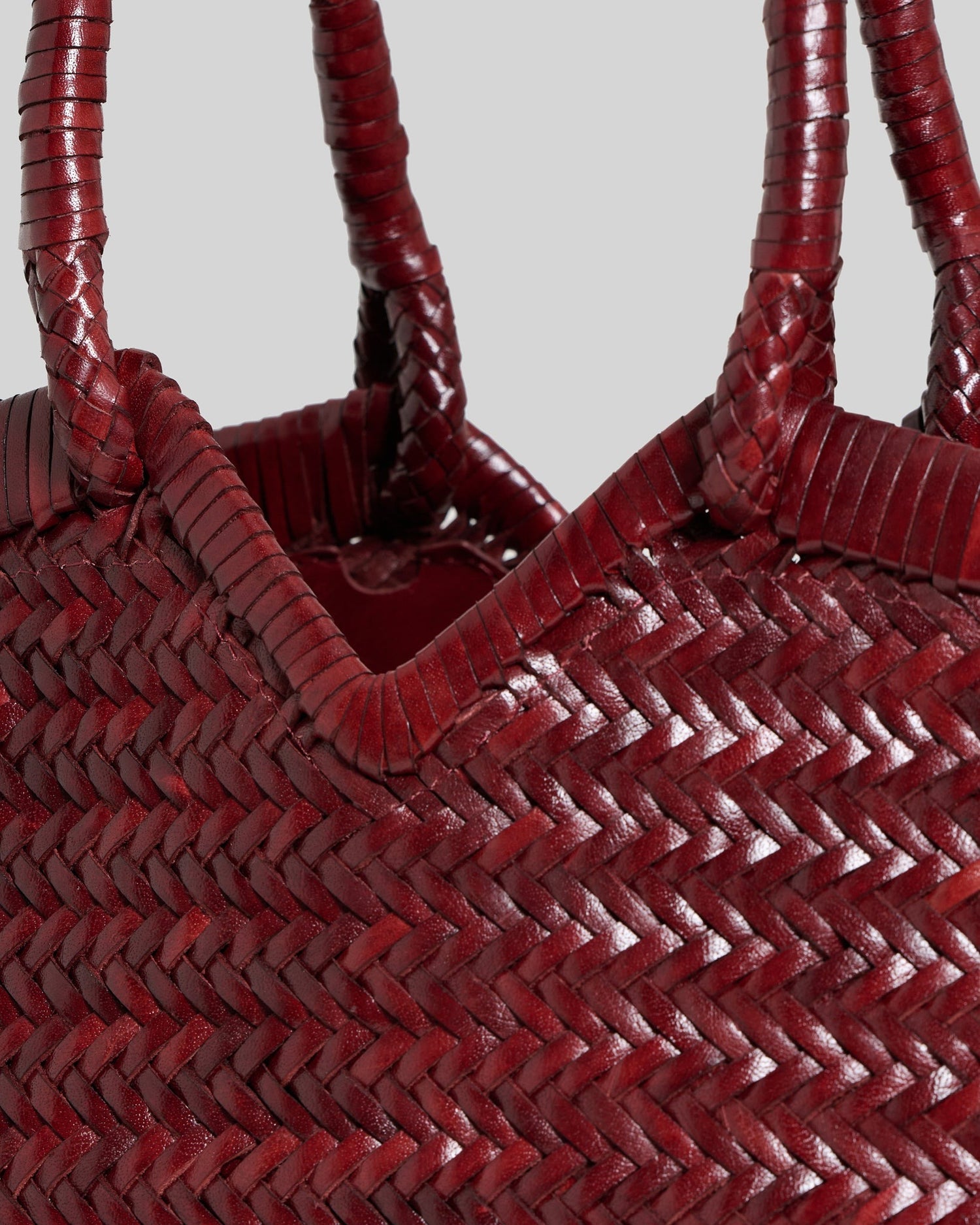 Vipera-Crudelia barolo-dgallerystore