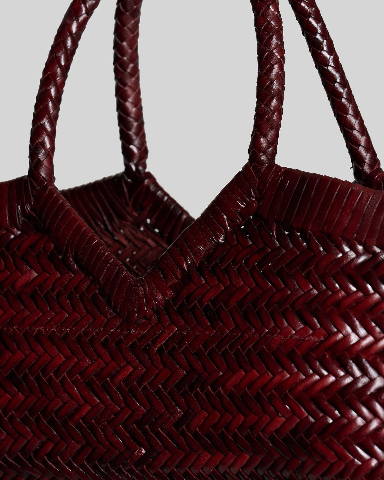 Vipera-Monet barolo handbag-dgallerystore