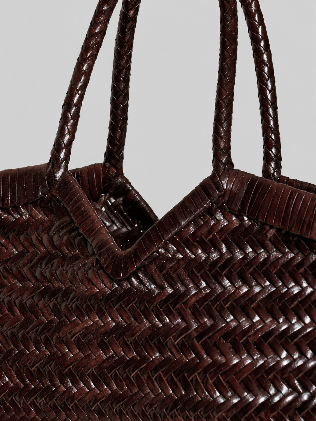 Vipera-Monet chocolate handbag-dgallerystore